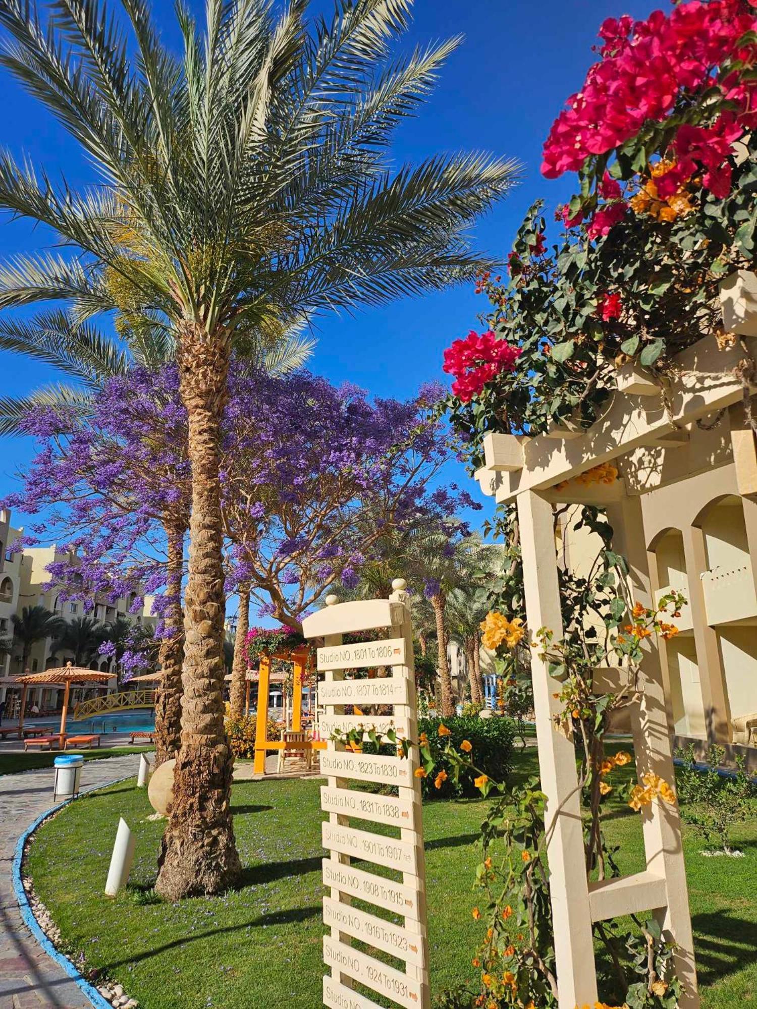 Comfortable Studio In Hotel Karma With Private Beach And Pools Family Only Or Female Gurdaka Kültér fotó