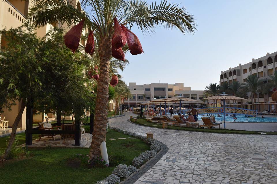 Comfortable Studio In Hotel Karma With Private Beach And Pools Family Only Or Female Gurdaka Kültér fotó